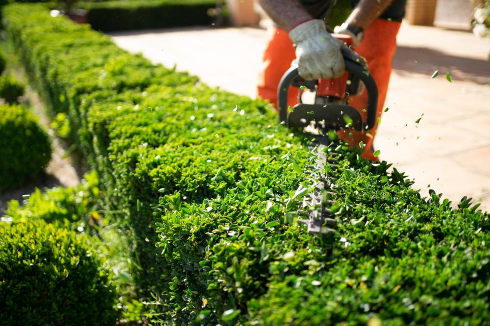 au fab'uleux jardin votre paysagiste à barro
