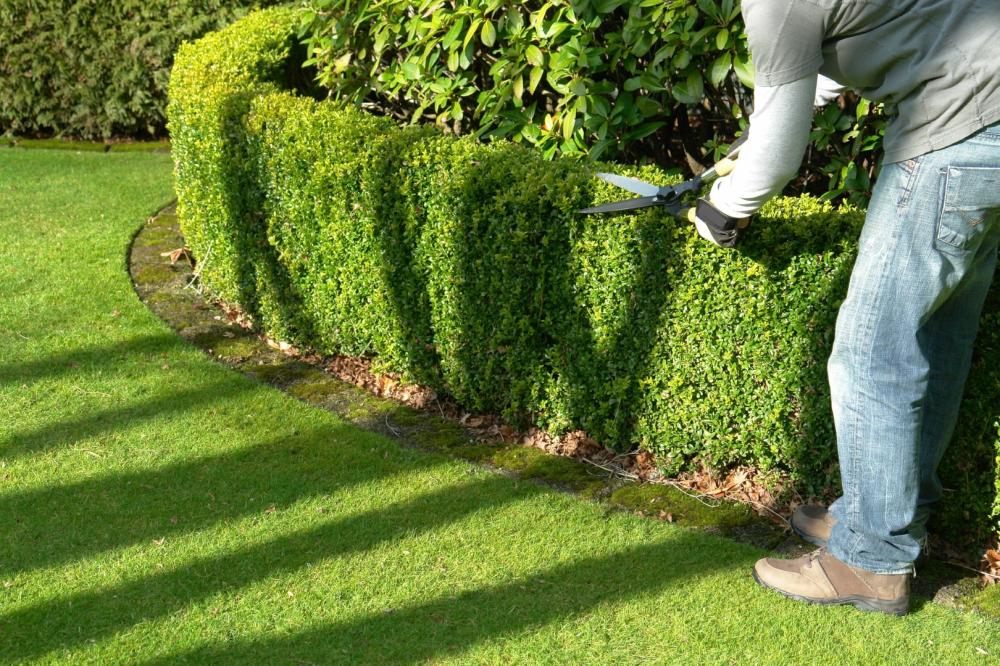 au fab'uleux jardin paysagiste