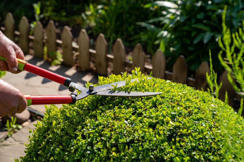 au fab'uleux jardin aménagement de jardin
