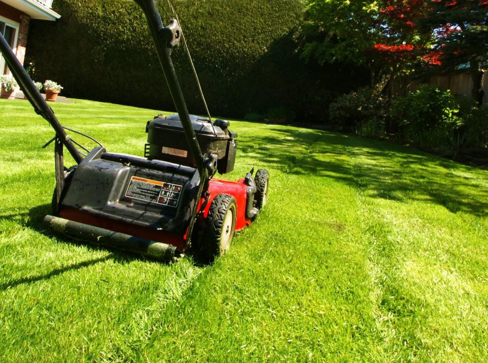 au fab'uleux jardin  tonte