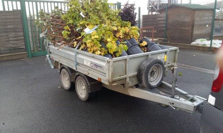 Au Fab'uleux Jardin réalisation remorque